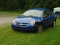 My Electric Blue Dodge Neon sun bathing in the grass.