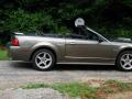 2001 Ford Mustang GT Convertible