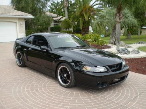 2003 Ford Mustang Cobra Coupe in Black